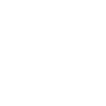 Icon Palestre